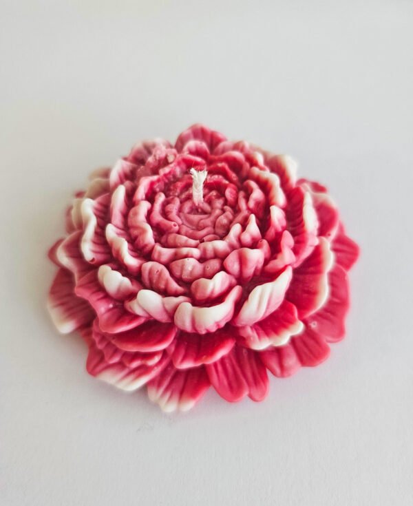 Candle Blossom