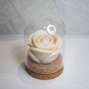 Beauty and the Beast candle